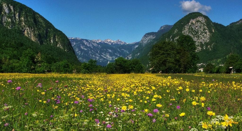 Hotel Tripic, Restaurant And Pizzeria Bohinj Bagian luar foto